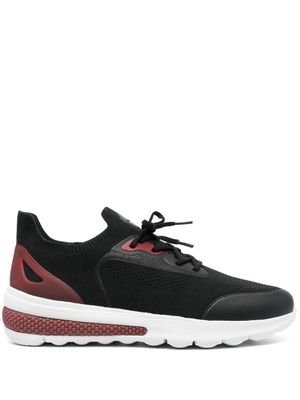 Geox baskets Spherica - Noir