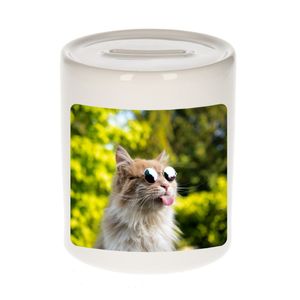 Dieren foto spaarpot gekke poes 9 cm - katten spaarpotten jongens en meisjes   -