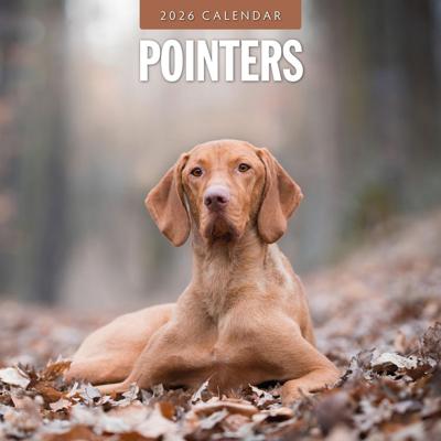 Pointer Kalender 2026