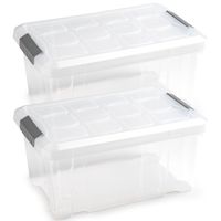 6x Opslagbakken/organizers met deksel 5 liter 29 cm transparant