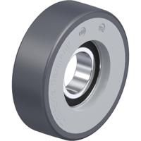 Blickle FPTH 80x25/25-12K Geleidingsrol Wieldiameter: 80 mm Draagvermogen (max.): 180 kg 1 stuk(s)