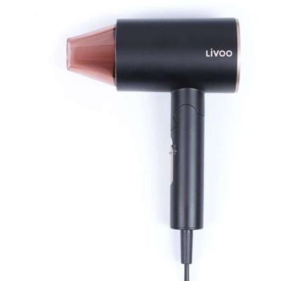 Ionische haardroger - LIVOO - DOS173 - 1600 W - 3 temperaturen - Opvouwbaar - Luchtconcentrator - Zwart / Roze
