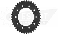 ESJOT Chain wheel 520 39z steel black