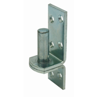 GB plaatduim 38x5 pen ø16x45 verzinkt etiket | 1 stuk - 17249404