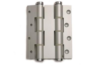 DX Deurveerscharnier dubbelwerkend 120/30mm - zilvergrijs