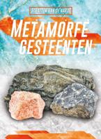 Metamorfe gesteenten (Hardback)