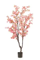 Kersenbloesemboom h210cm roze Kersenbloesemboom h210cm roze