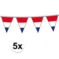 5x Holland vlaggenlijnen van 10 meter   -
