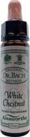 Ainsworths White chestnut Bach 10 Milliliter