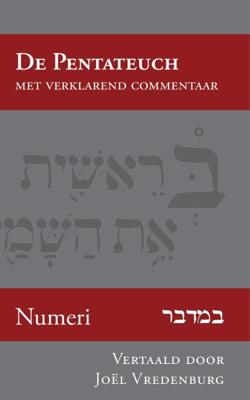 Numeri (Paperback)