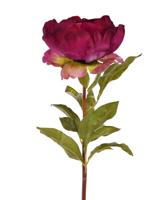 Pioenroos (Paeonia) deluxe kunstbloem 55 cm cerise