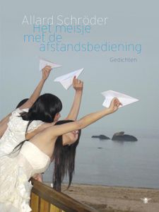 Het meisje met de afstandsbediening - Allard Schroder - ebook