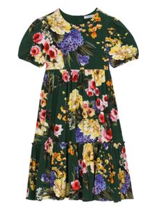 Dolce & Gabbana Kids robe mi-longue à fleurs - Vert