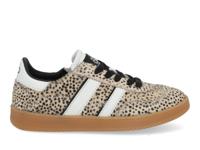 HIP H1500 wit combi Wit maat 36