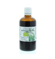 Spiraea ulmaria herb / moerasspirea tinctuur bio