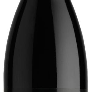 Zenato Ripassa Valpolicella Ripasso DOC Superiore 2016 wijn 0,75 l Rood