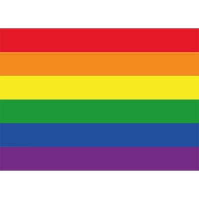 20x Regenboog vlag / LGBT vlag stickers 10 cm