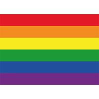 20x Regenboog vlag / LGBT vlag stickers 10 cm