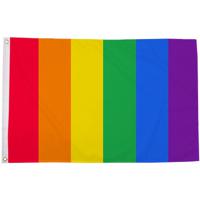 Regenboog LGBT vlag 90 x 150 cm verticale strepen