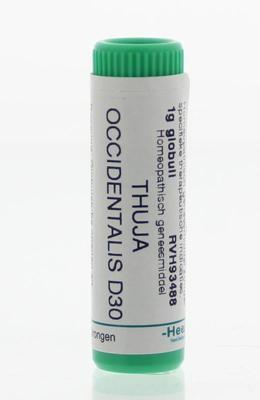 Homeoden Heel Thuja occidentalis D30 1 Gram