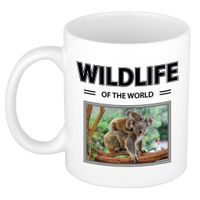 Koala mok met dieren foto wildlife of the world - thumbnail