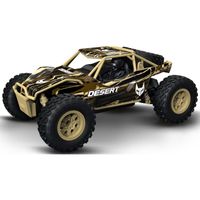 Desert Buggy RC