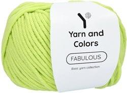 Yarn and Colors Fabulous 084 Pistachio