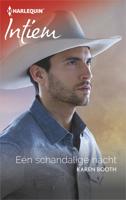 Eén schandalige nacht - Karen Booth - ebook