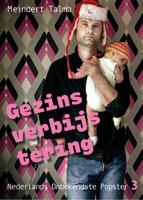 Gezinsverbijstering - Meindert Talma - ebook