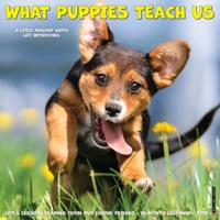 What Puppies Teach Us Kalender 2026