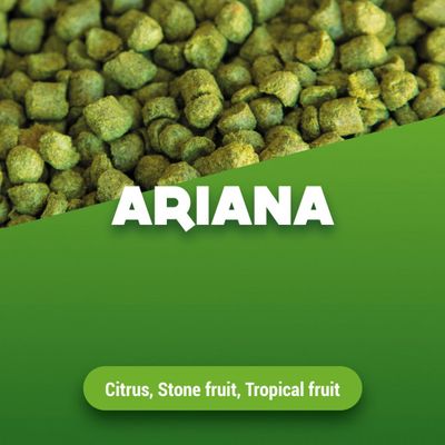 Hopkorrels Ariana 2024 5 kg