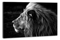 Karo-art Schilderij -Zijprofiel van een Leeuw, Koning van de Jungle, zwart/wit, 100x70cm. premium print