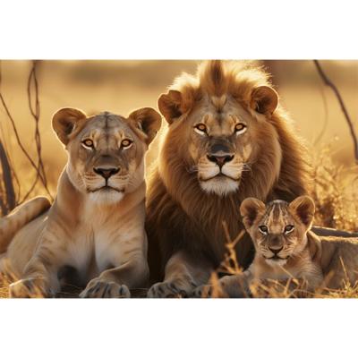 Glasschilderij - Leeuwen Familie - 160 x 110 cm