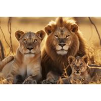 Glasschilderij - Leeuwen Familie - 160 x 110 cm