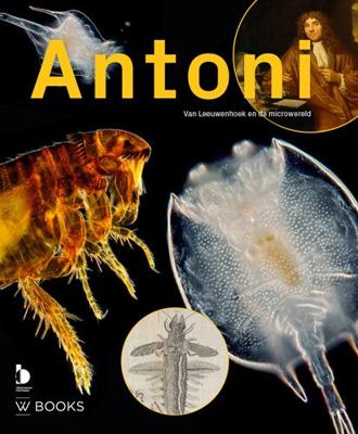 Antoni (Paperback)