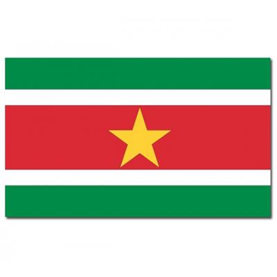 Vlag Suriname - 90 x 150 cm - Surinaamse Vlag - Suriname