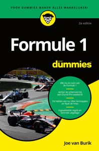 Formule 1 voor Dummies - Joe van Burik - ebook