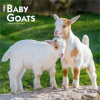 Baby Geitjes Kalender 2026