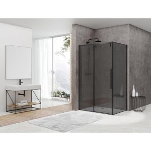 Van Rijn Products ST06 Softclose schuifdeur met 8mm rookglas 138.5x200cm voor combinatie met wand inclusief greep zwart ST06350140ZWGR