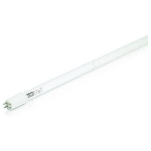 Signify UV-lamp Steekfitting 75 W (Ø x l) 19.3 mm x 853 mm 107 V 1 stuk(s)