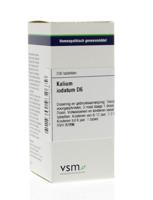 VSM Kalium iodatum D6 200 Tabletten