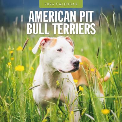 American Pit Bull Terrier Kalender 2026