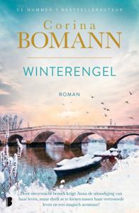 Winterengel (Paperback)