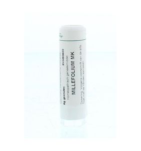 Millefolium MK