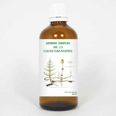 Balancepharma Gemmo simplex 13 equisetum arvense