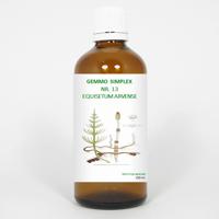 Balancepharma Gemmo simplex 13 equisetum arvense