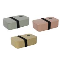 Lunchbox 19,5x11,5x6,5cm assorti