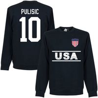 Verenigde Staten Team Pulisic 10 Sweater