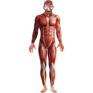 Carnaval/Halloween verkleedkleding kostuum Anatomische man horror bodysuit - heren