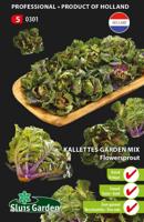 Kalettes garden mix flowersprout zaden